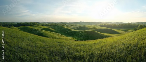 Expansive green hills under a clear blue sky with sunlight casting warm hues across the landscape.