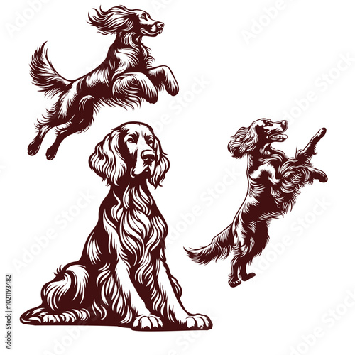 Irish Setter dog different poses outlines silhouettes, jumping, running, sitting, standing on white background