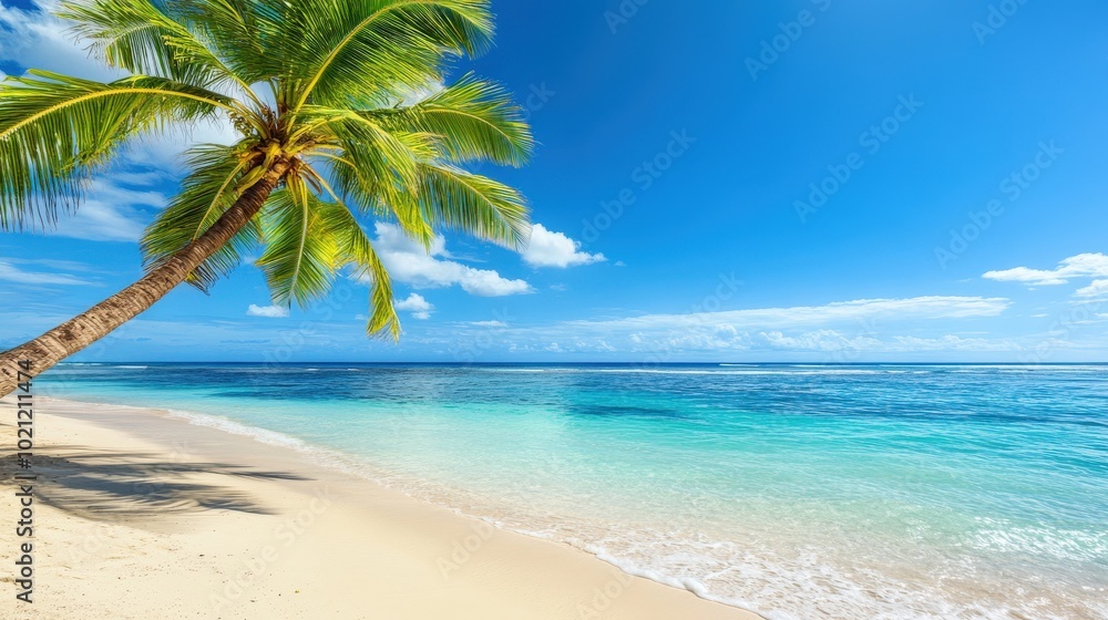 A serene tropical beach with a leaning palm tree and crystal-clear turquoise waters under a bright blue sky. A serene tropical beach with a leaning palm tree and crystal-clear turquoise waters under a bright blue sky.