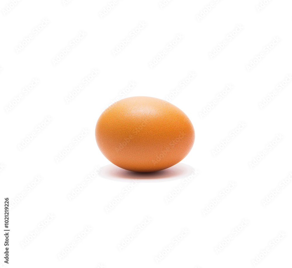 Beautiful single brown chicken egg isolated on white background. One chicken egg isolated Beautiful single brown chicken egg isolated on white background. One chicken egg isolated