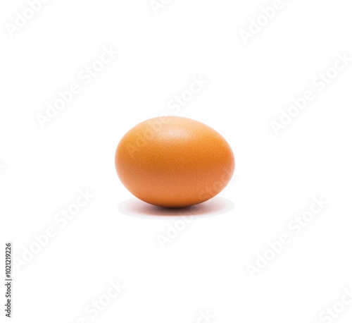 Beautiful single brown chicken egg isolated on white background. One chicken egg isolated