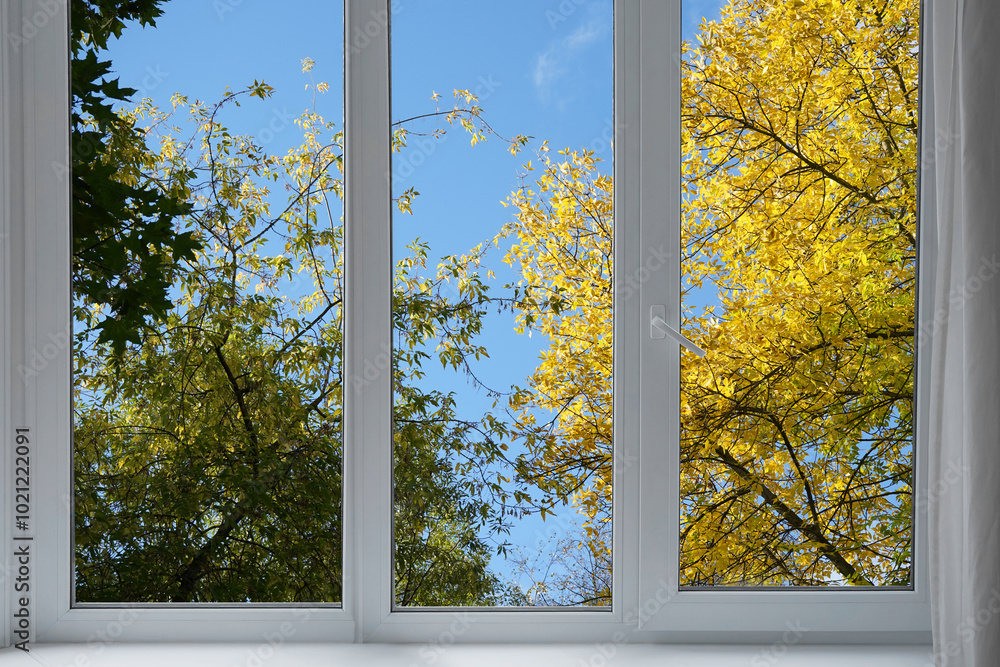 Fototapeta premium View from the window, yellow trees, landscape with autumn forest.
