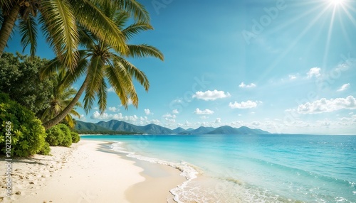 Idyllic Tropical Beach Paradise With Swaying Palm Trees And Turquoise Ocean Under Bright Sunlight photo