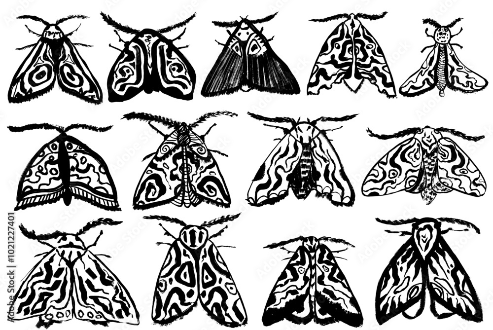 Fototapeta premium Hand Drawn Ink Brush Night Moth Set