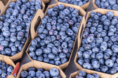Wall Mural Freshly picked blueberries overflowing in cardboard containers at the local farmers market