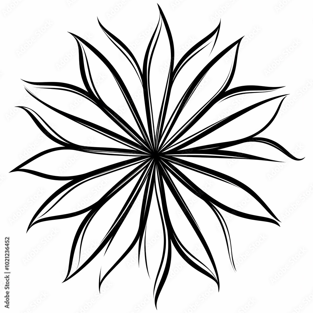 A black and white floral design with elongated petals radiating from a central point. A black and white floral design with elongated petals radiating from a central point.