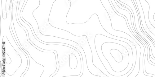 abstract wavy background. topographic contour background, contour lines background. Topographic map contour background.