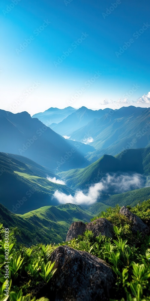 Fototapeta premium Vast mountain range stretching across the horizon, with detailed rock formations and mist in the valleys Soft natural lighting, panoramic view, deep blue sky