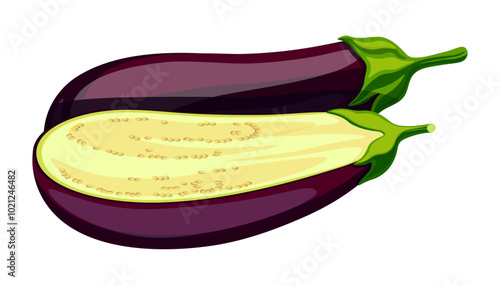 Fresh eggplants in cartoon style. Vector illustration of delicious eggplants, whole and half isolated on white background. Useful vegetables. Healthy and nutritious food. Side view.