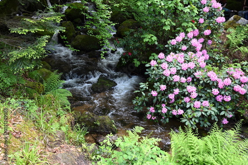 Gertelbachfaelle photo