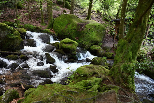 Gertelbachfaelle im Schwarzwald photo