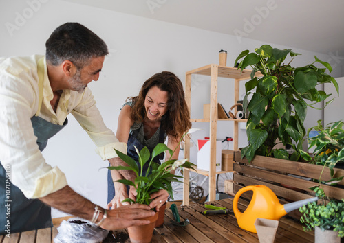 Couple gardening together repotting plants at home photo