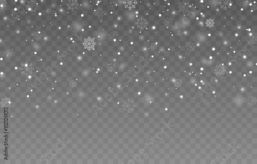 Vector snow falling from above. Snowfall on isolated transparent background. Christmas or winter background. Snow or snowflakes png.