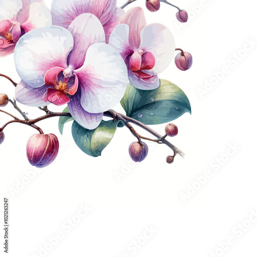 watercolor orchid flower