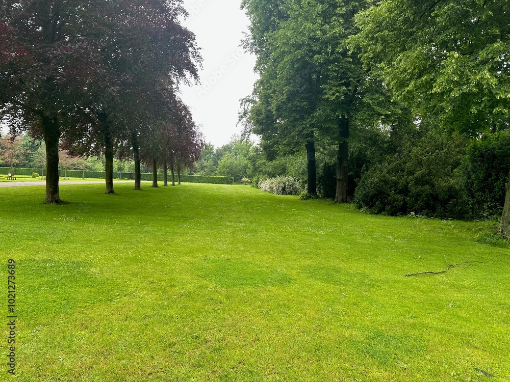 Fototapeta premium Picturesque view of trees and green grass in park