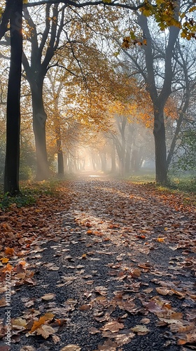 A sunlit pathway through a canopy of golden leaves, beautifully capturing the essence of autumn, as sunlight filters through the tree branches, creating warmth.