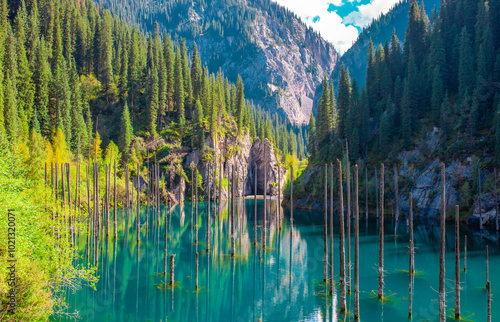 Fototapeta Naklejka Na Ścianę i Meble -  Sunken forest of Lake Kaindy in Kazakhstan. Beautiful mountain natural landscape. A blue lake with tree trunks sticking out of it. Panoramic view of the reserve.