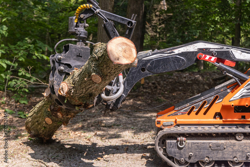 Mini skid steer loader is moving a large tree trunk in a forest, showing its power and versatility for forestry work. Selective focus