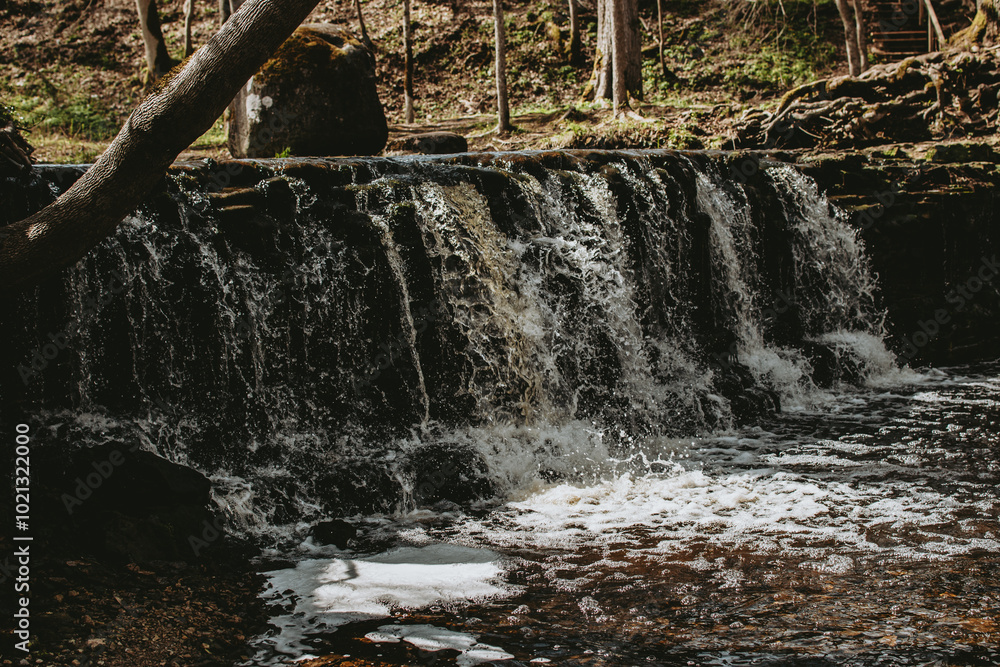 Obraz premium Ivande river with small waterfall in Latvia at spring