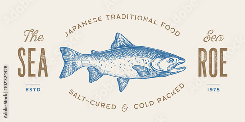 Salmon fish seafood, sketch. Vintage retro print, seafood salmon fish sketch, logo sign template, ink pencil style drawing, engrave old school. Hand drawn sketch salmon fish. Vector Illustration
