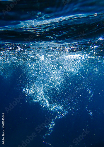 Air bubbles underwater rising to water surface, natural scene, bubbles under water, bubble undersea, sea in crystal clear green water. Real image very suitable for backgrounds, Great for background.
