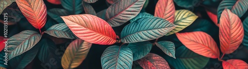 Vibrant leaves in shades of green, red, and orange create a stunning natural backdrop, perfect for various design projects.