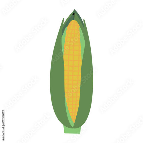 Beautiful sweet corn cob in green leaves isolated on white background. Hand drawn vector flat doodle colored illustration. Harvest, agriculture icon, thanksgiving day concept