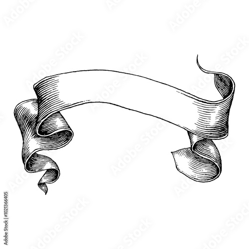 Vintage Swirl Ribbon Blank Banner in Detailed Black and White Outline Line Art Drawing