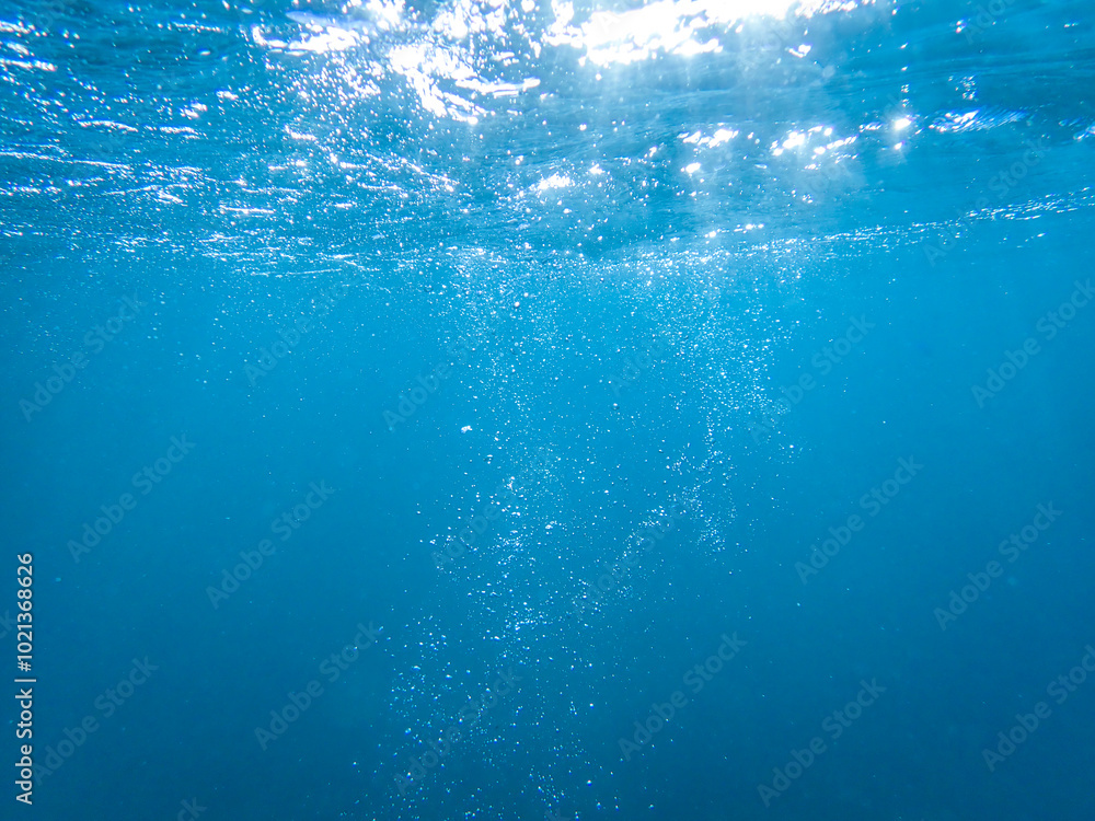 bubbles, bubbles undersea, undersea, green water, underwater, crystal sea, background, sea, bubble, bubbles underwater, water, blue, ocean, mediterranean, light, diving, backdrop, air, marine, aqua. bubbles, bubbles undersea, undersea, green water, underwater, crystal sea, background, sea, bubble, bubbles underwater, water, blue, ocean, mediterranean, light, diving, backdrop, air, marine, aqua.