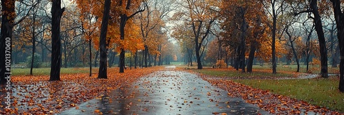 A picturesque pathway covered in colorful autumn leaves, lined by tall trees showing off their fall colors, creating a calming and contemplative atmosphere. photo