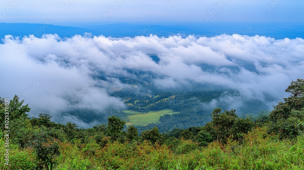 View from a mountain peak, serene clouds and valley below View from a mountain peak, serene clouds and valley below