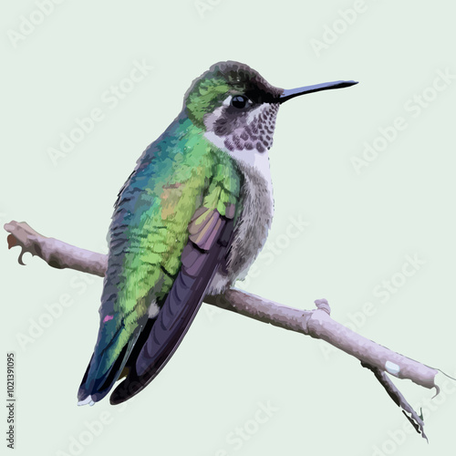 Hummingbird watercolor flowers and in flight. Traditional oriental ink painting vector