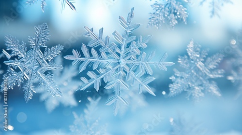 Wallpaper Mural Snowflakes forming intricate patterns on a frozen window Torontodigital.ca