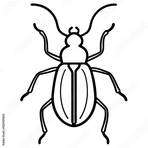 Weevil line art vector illustration 