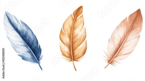 Vintage watercolor feather collection, ideal for rustic wedding invitations, nature-themed prints, or bohemian wall art