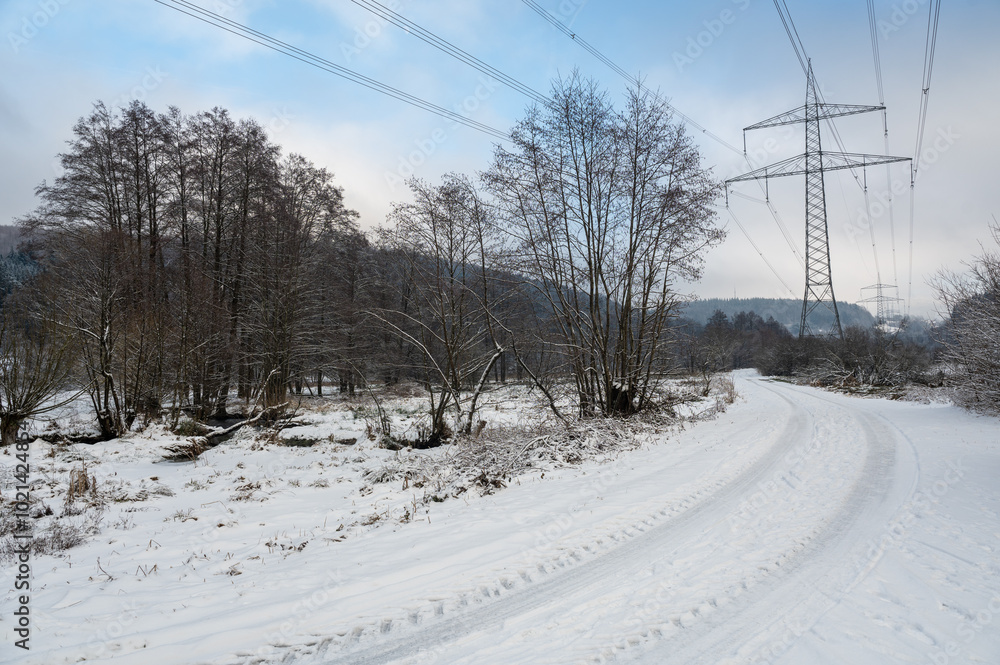 Field path with Electricity pole , trees and snow Field path with Electricity pole , trees and snow