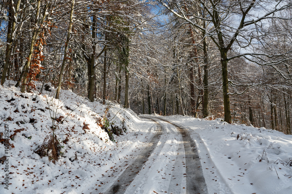 Field path in the forest with snow and blue sky