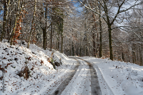 Obraz na płótnie Field path in the forest with snow and blue sky w salonie