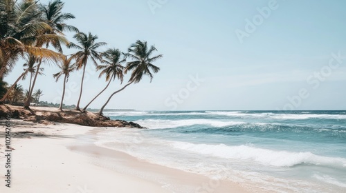 A tranquil beach scene with palm trees and white sand.