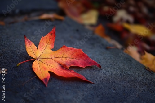 A single vibrant autumn leaf resting on a stone surface, embodying tranquility and the beauty of nature.