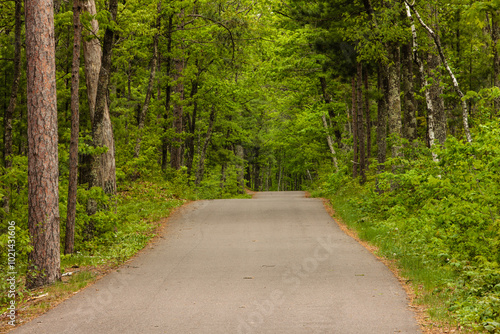 Rural roadway, which is also a bike path, disappears into the woods along the eastern shoreline along Trout Lake in Vilas County near Boulder Junction, Wisconsin in late May.