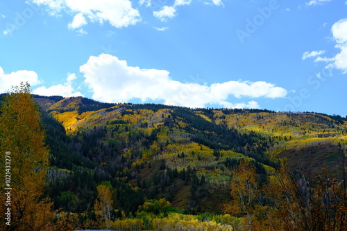 Vibrant mountain landscape with trees in full autumn color, showcasing golden yellows and greens under a bright blue sky. A serene, natural scene perfect for outdoor and nature imagery.