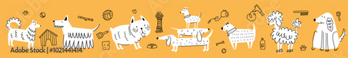 Vector horizontal illustration from a collection of different dog breeds and dog grooming items, hand-drawn in a doodle style