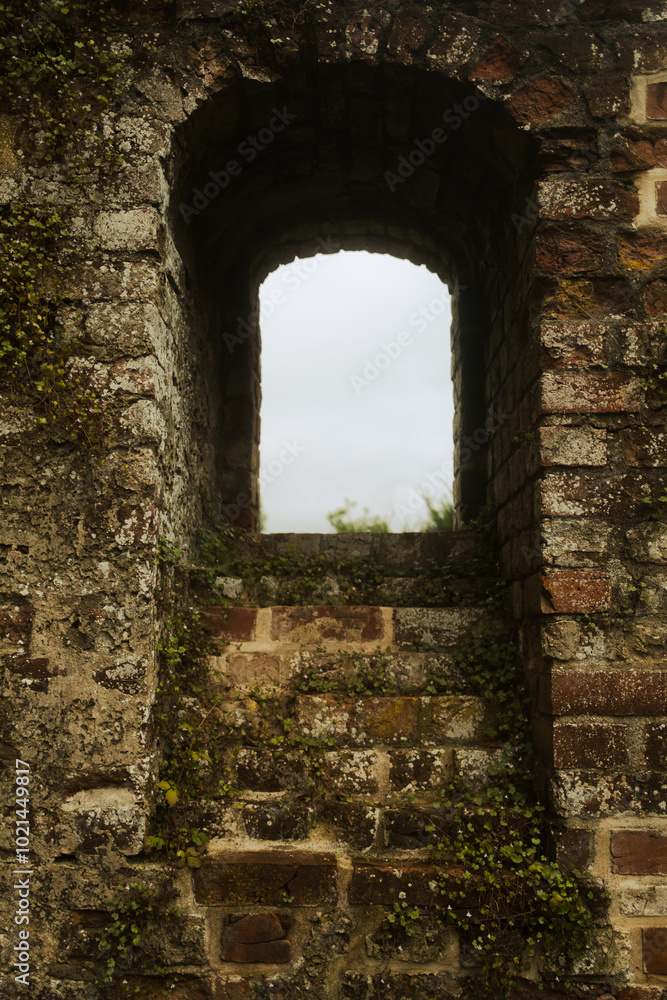 Ruine château scandinave 