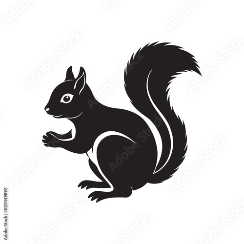 squirrel silhouette vector, black and white silhouette, vector and illustration, isolated on white background