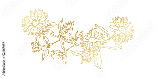 Golden Aster flowers line art isolated on white background. Luxury Aster floral design elements for invitation, wedding, wallpaper, print template, vector illustration
