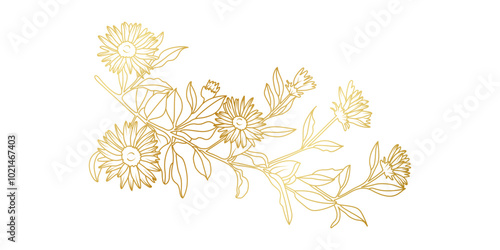 Golden Aster flowers line art isolated on white background. Luxury Aster floral design elements for invitation, wedding, wallpaper, print template, vector illustration