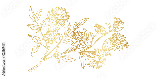 Golden Aster flowers line art isolated on white background. Luxury Aster floral design elements for invitation, wedding, wallpaper, print template, vector illustration