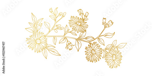 Golden Aster flowers line art isolated on white background. Luxury Aster floral design elements for invitation, wedding, wallpaper, print template, vector illustration