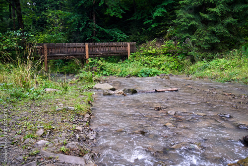Fototapeta Naklejka Na Ścianę i Meble -  wooden bridge on a hiking trail over a stream in the Beskidy Mountains